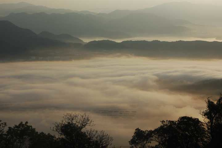 20200505_01.jpg