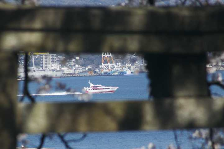 20200405_03.jpg