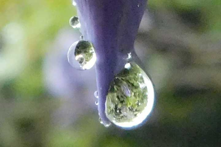 20200503_01.jpg