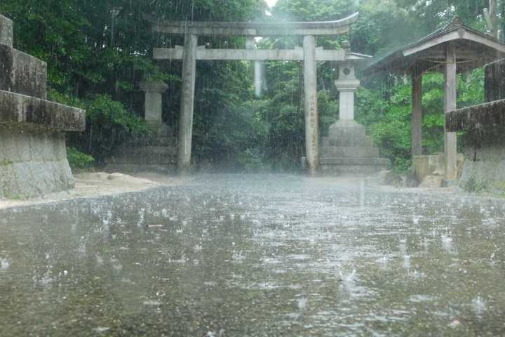 20200630_02.jpg