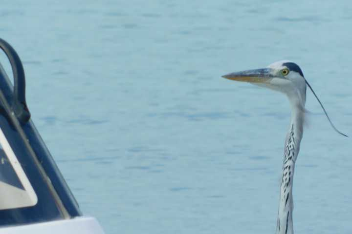 20200924_04.jpg